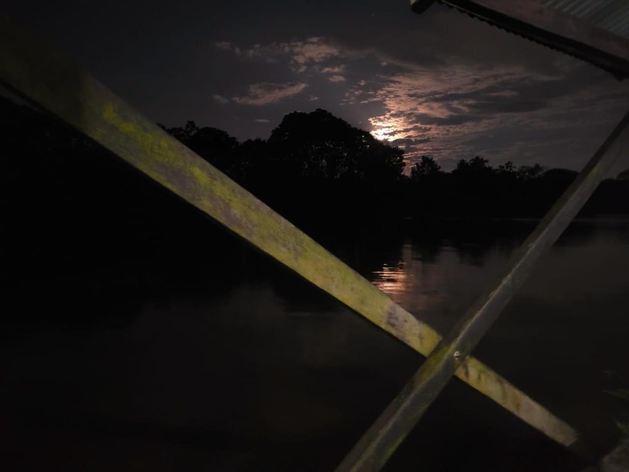 Cabana Flotante Kurupira ليتيسيا المظهر الخارجي الصورة