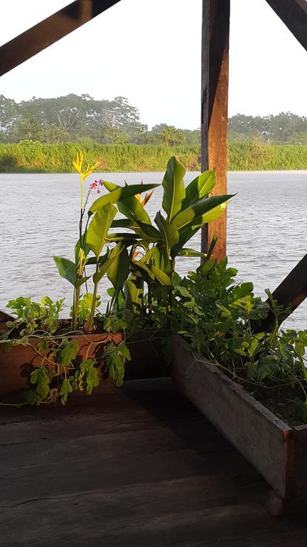 Cabana Flotante Kurupira ليتيسيا المظهر الخارجي الصورة